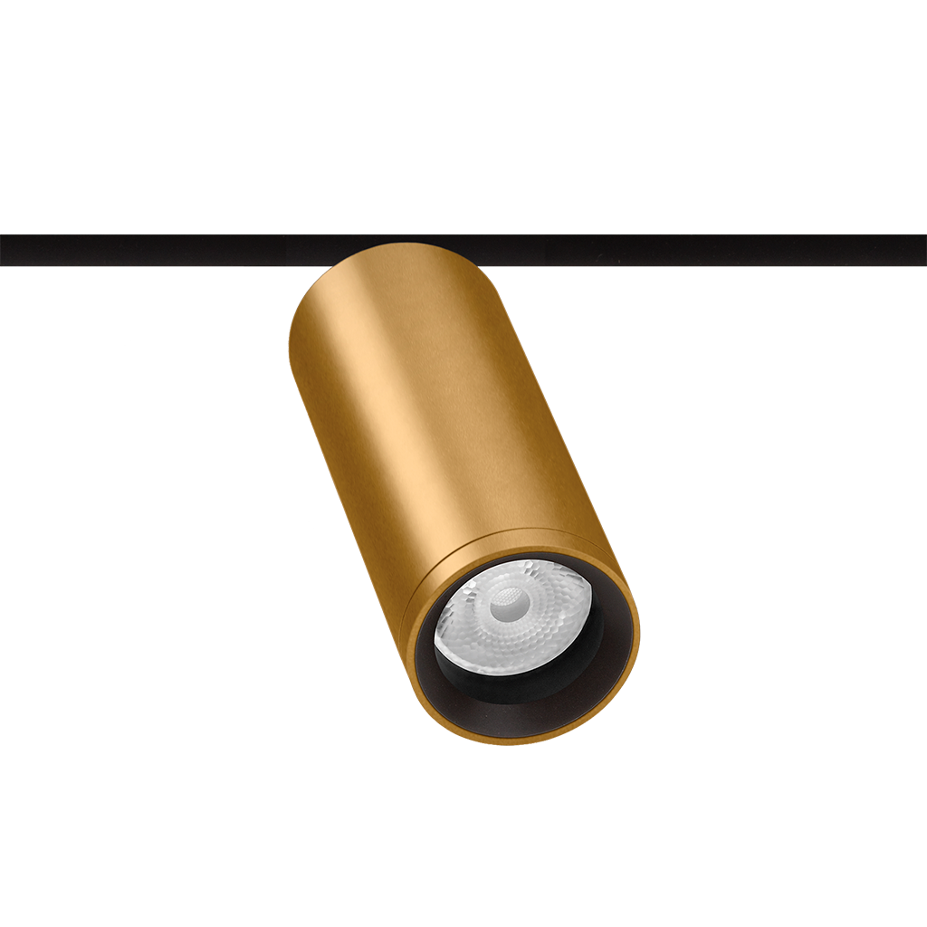 Spot Pentru Șină Arkoslight Fit 50 48V, Auriu, 3500K, Dali, Unghi 50°, 12W, Ip20, Cri>90