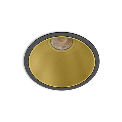 Spot Buddy L Tunable White, Negru-Auriu, Tunable White 2700 - 5000K, Dali, Unghi 29°, 11,6W, Ip54, Cri>90