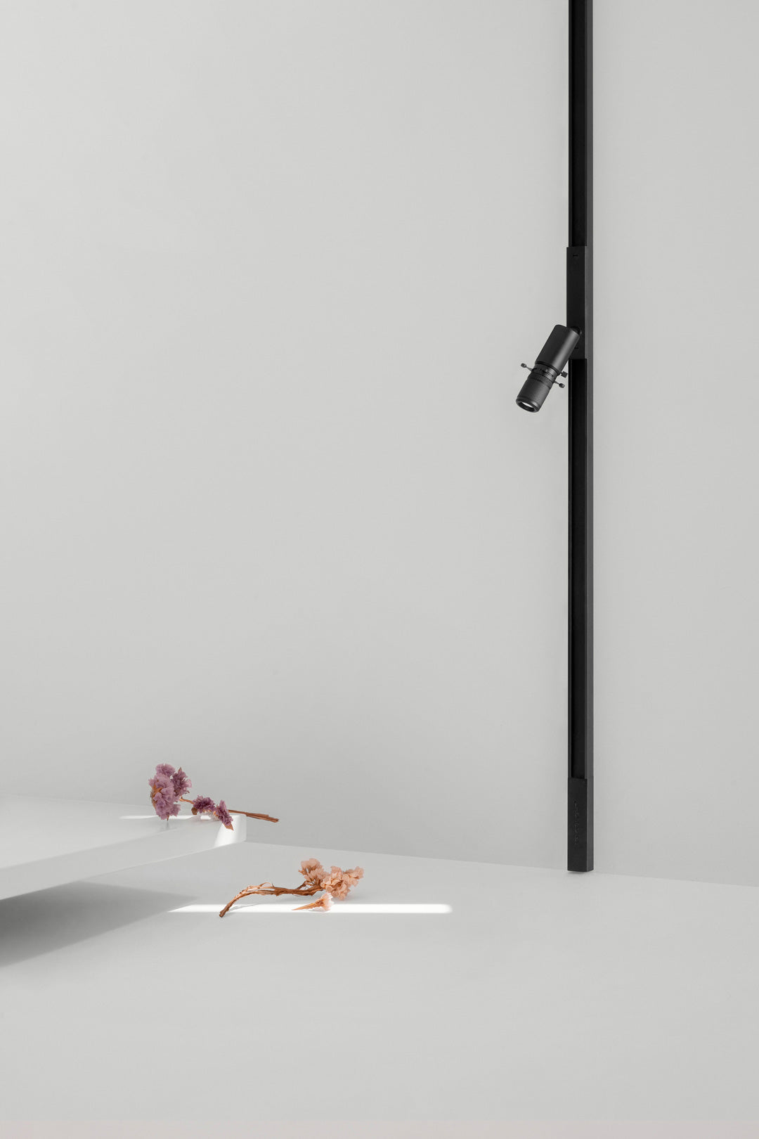 Track Spotlight Arkoslight Minimal Micro Shaper 24V, Black, 4000K, DIM options, 52° Beam Angle, 2.2W, IP20, CRI>90